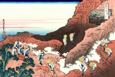 Shojin tozan